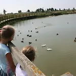Vakantienestje
