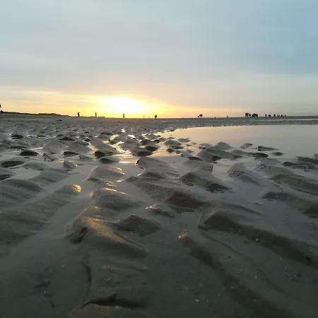 Vakantienestje Hébergement de vacances Bredene