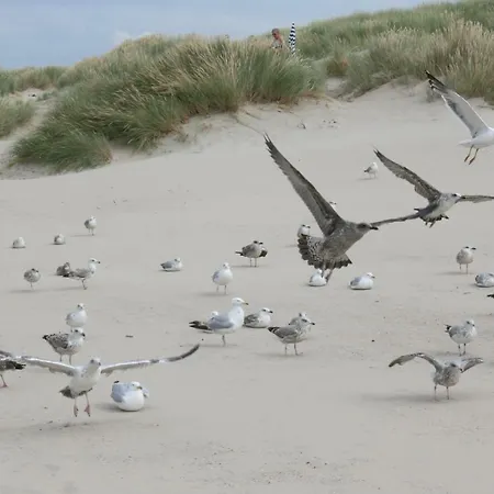 Vakantienestje * Bredene
